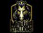 MLSS
