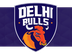 Delhi Bulls