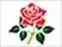 LSW